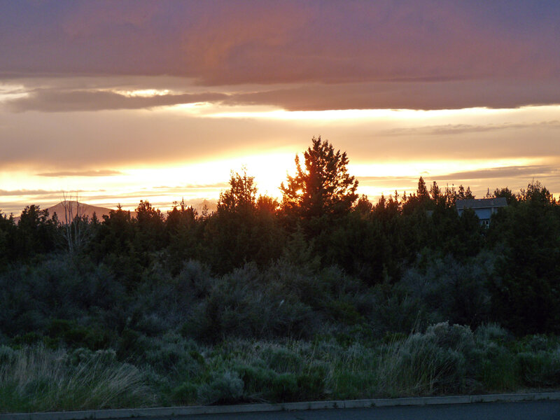 Sunset over Trees — Orange, Serene, Photograph, Mountain