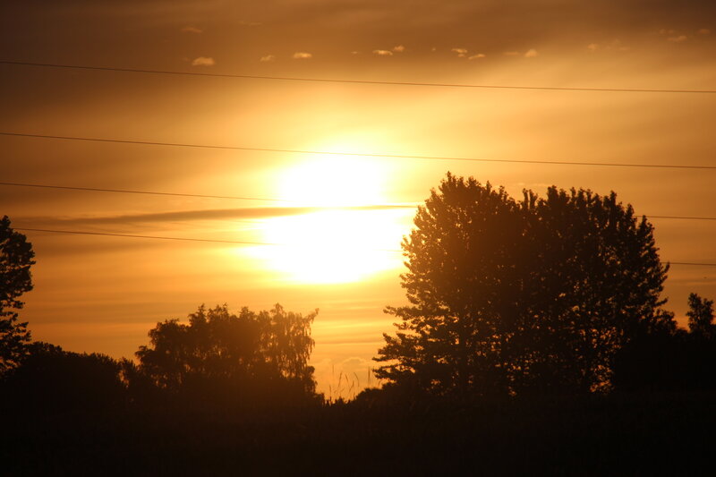 Sunset over Trees — Orange, Serene, Photograph, Power Lines