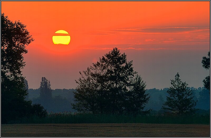 Sunset over Trees — Orange, Serene, Photograph, Sky
