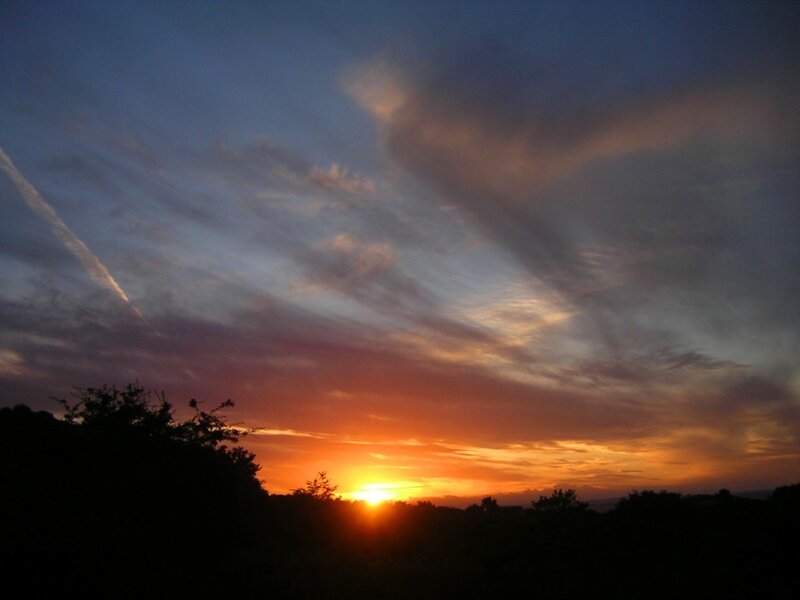 Sunset over Trees — Orange, Serene