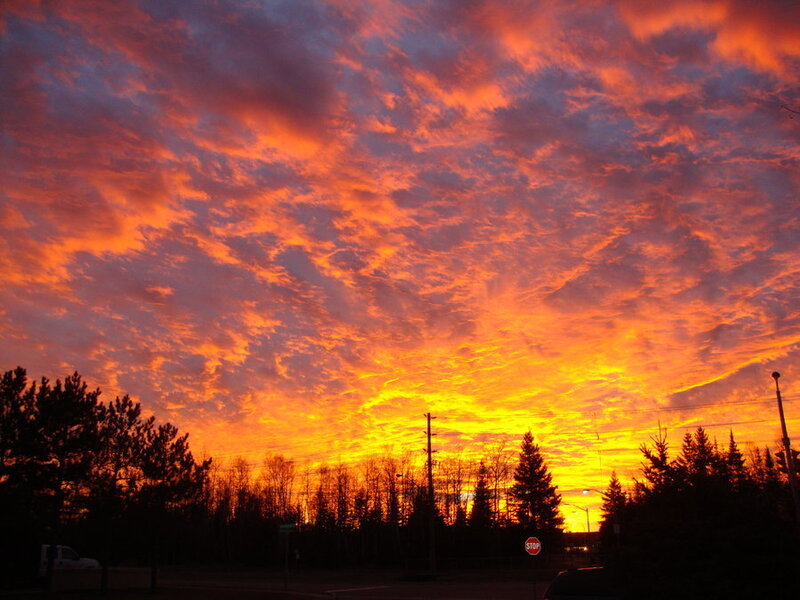 Sunset over Trees — Orange