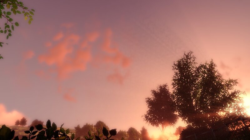 Sunset over Trees — Pink, Serene
