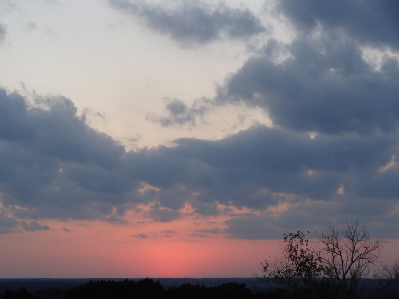 Sunset over Trees — Pink