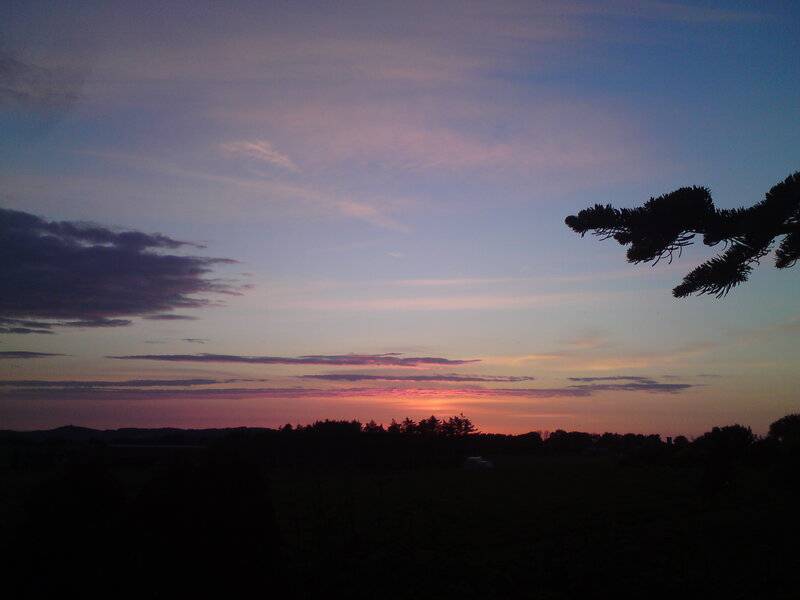 Sunset over Trees — Purple, Serene, Photograph