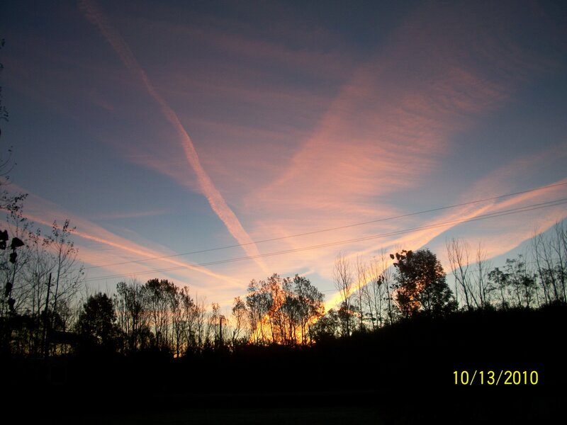 Sunset over Trees — Purple
