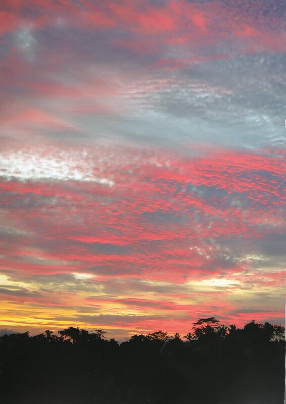 Sunset over Trees — Red, Dramatic, Photograph, Clouds, Orange