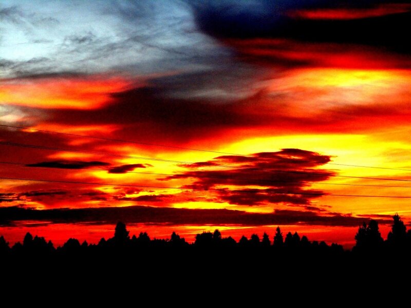 Sunset over Trees — Red, Dramatic, Photograph, Clouds, Power Lines