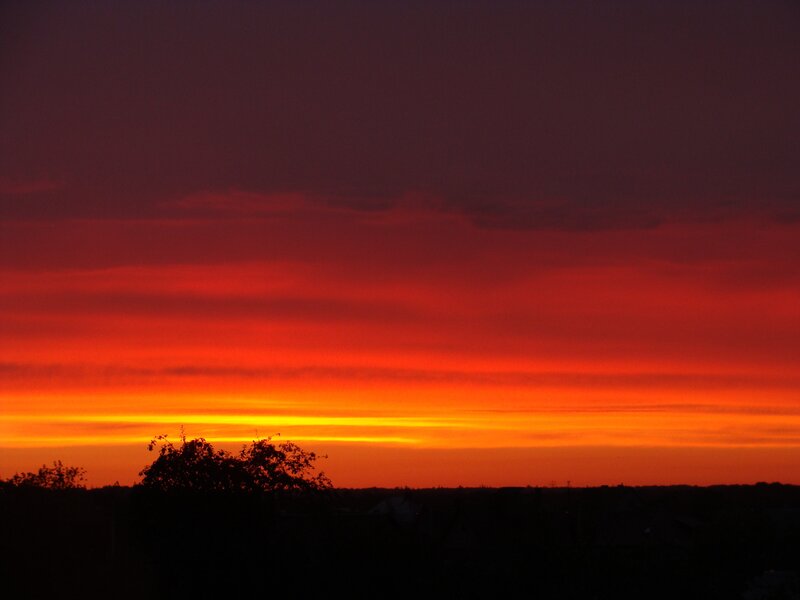 Sunset over Trees — Red, Dramatic, Photograph, Sky