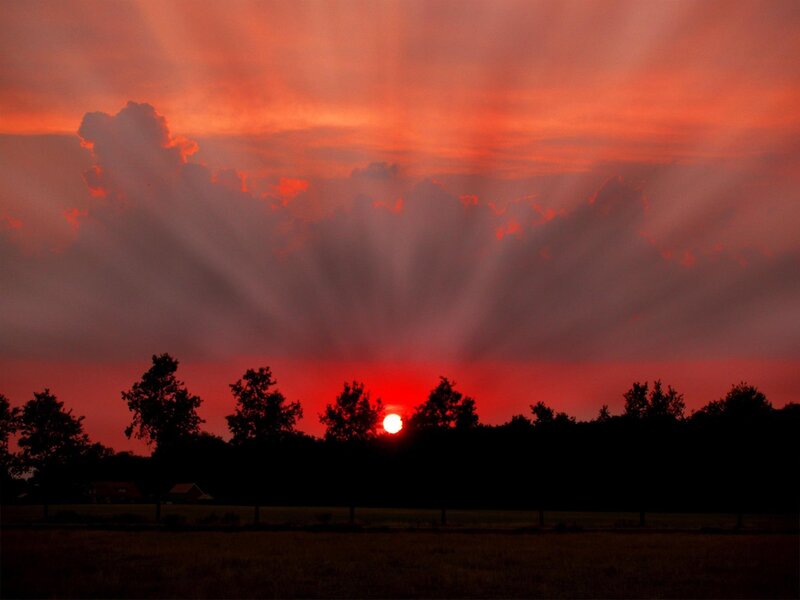Sunset over Trees — Red, Dramatic, Photograph, Sun, Clouds, Field