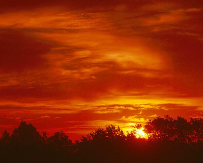 Sunset over Trees — Red, Dramatic, Photograph, Sun, Clouds