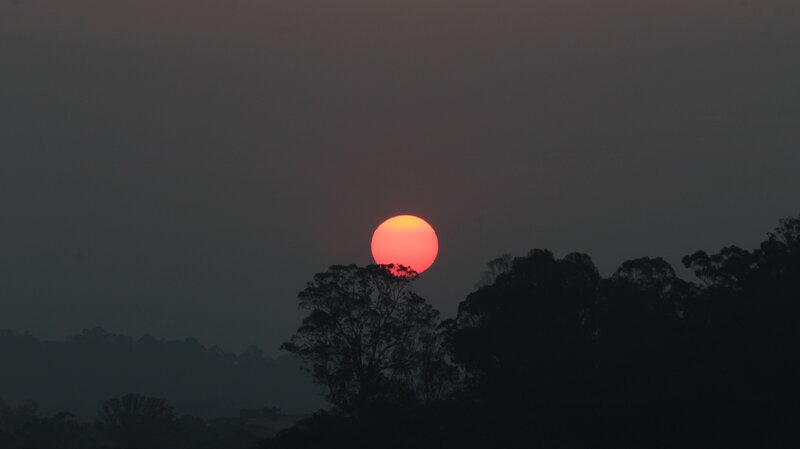 Sunset over Trees — Red, Dramatic, Photograph, Sun, Sky