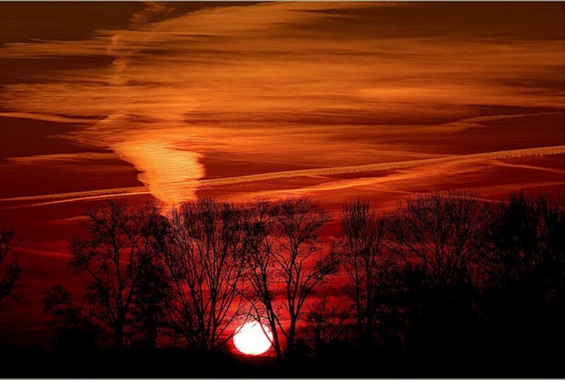 Sunset over Trees — Red, Dramatic, Photograph, Sun