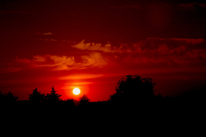 Sunset over Trees — Red, Dramatic, Photograph