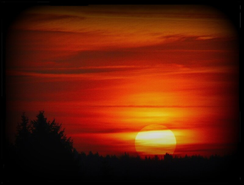 Sunset over Trees — Red, Dramatic