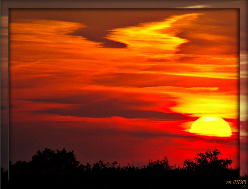 Sunset over Trees — Red