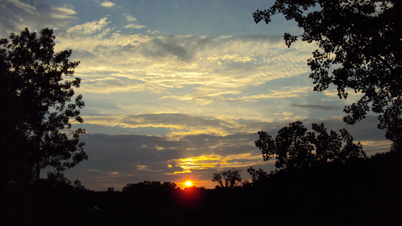 Sunset over Trees — Yellow