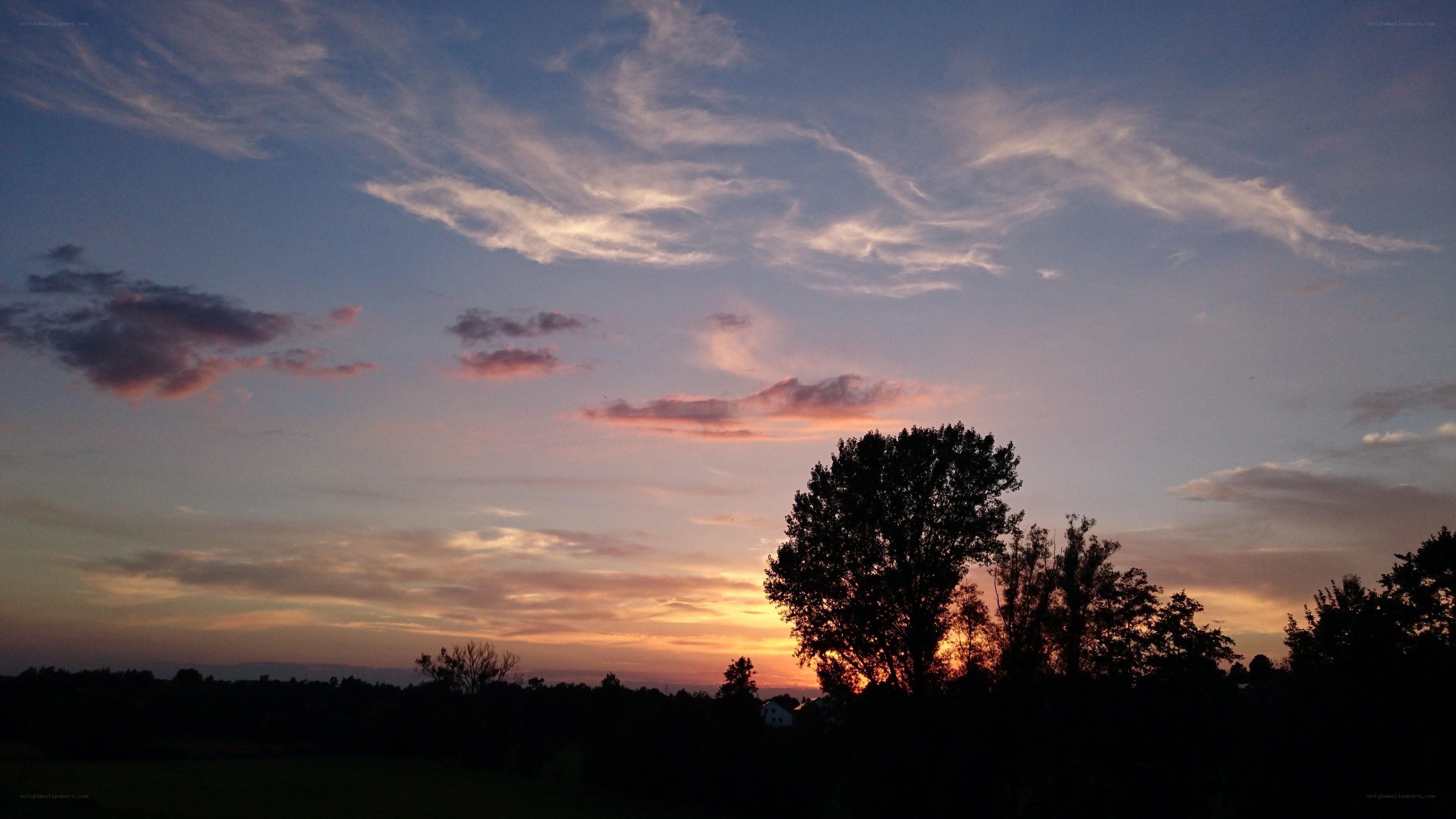 sunset over trees