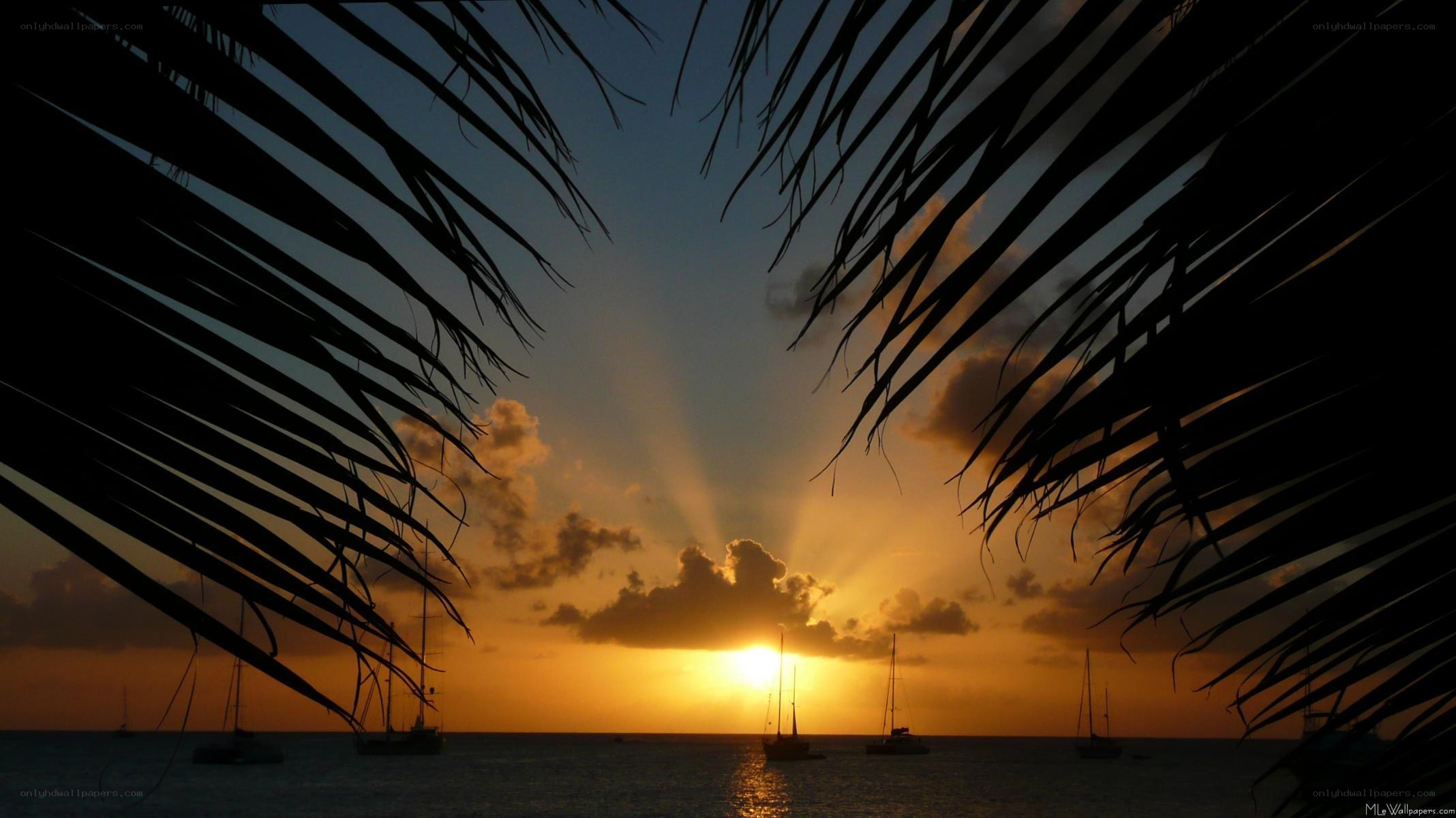 sunset over tropical bay