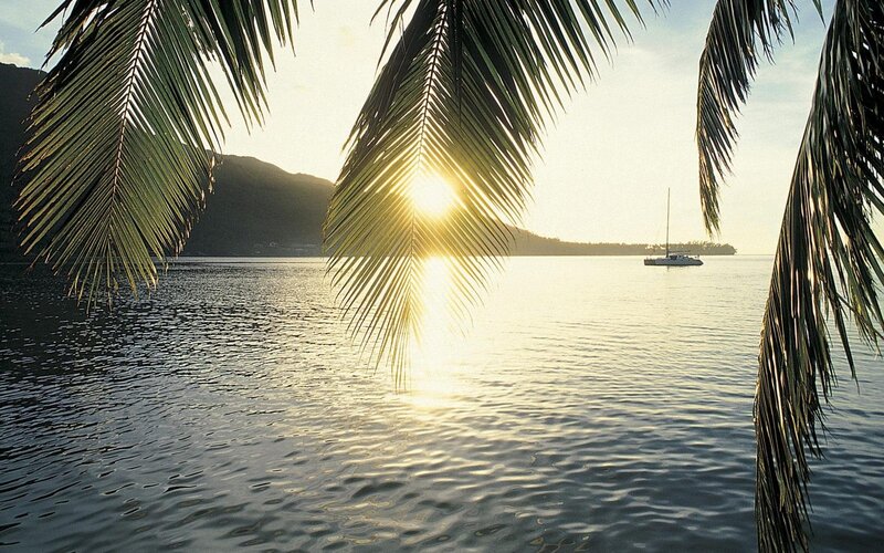 Sunset over Tropical Bay — Green, Serene, Photograph, Palm Fronds