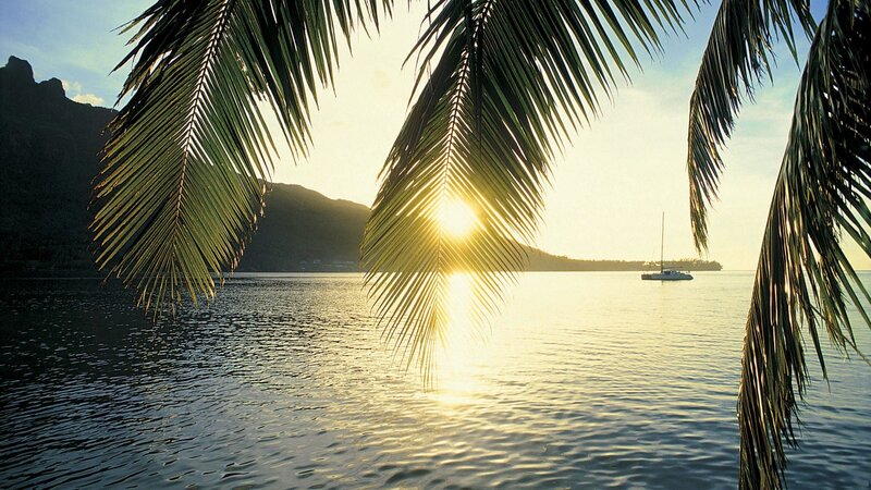 Sunset over Tropical Bay — Green