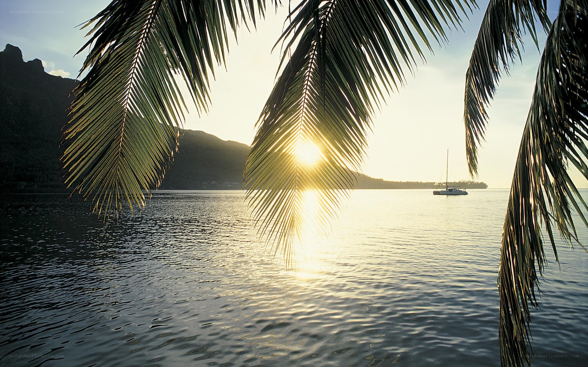 Sunset over tropical bay