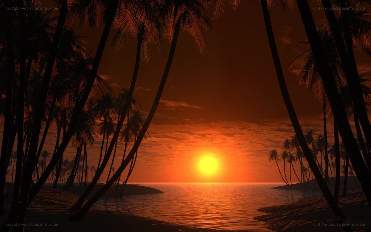 sunset over tropical beach
