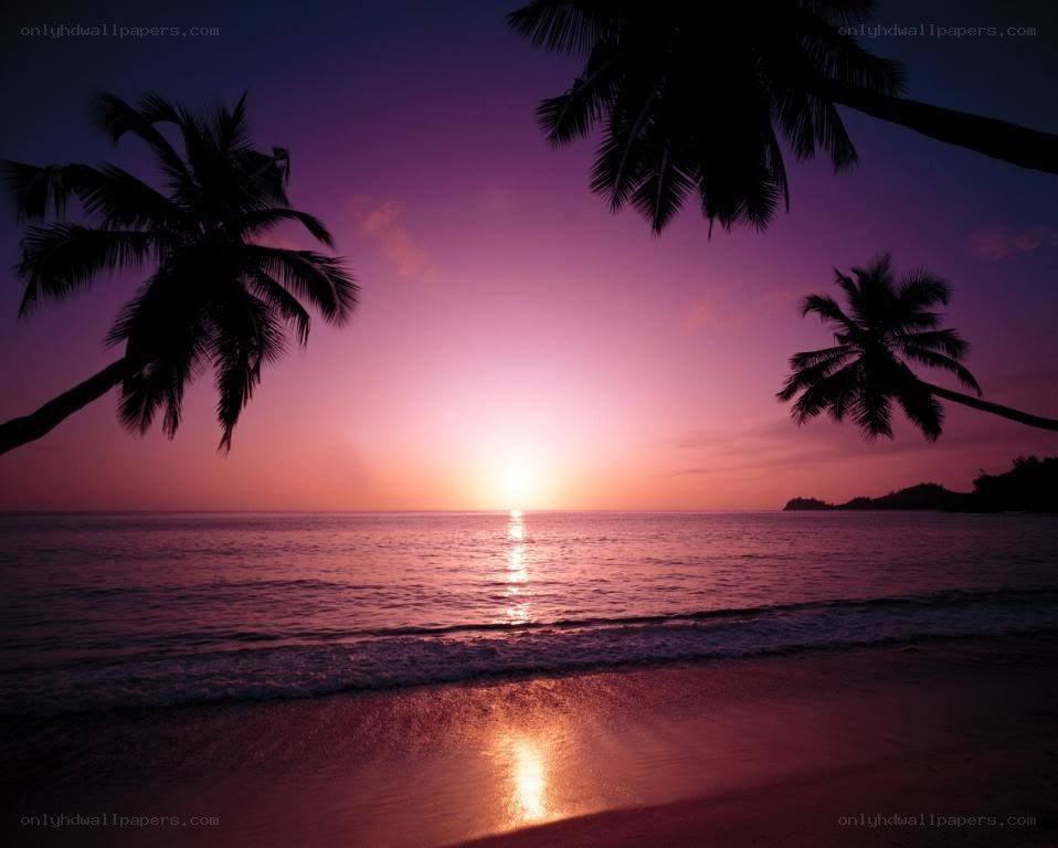 sunset over tropical beach