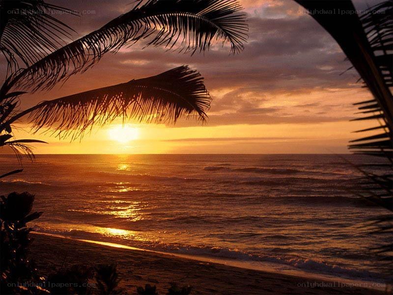 Sunset over tropical beach
