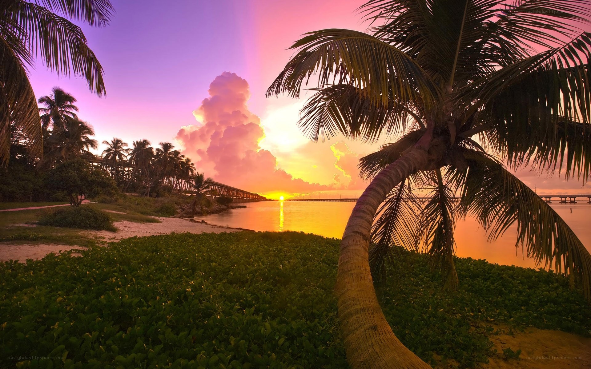 Sunset over tropical beach