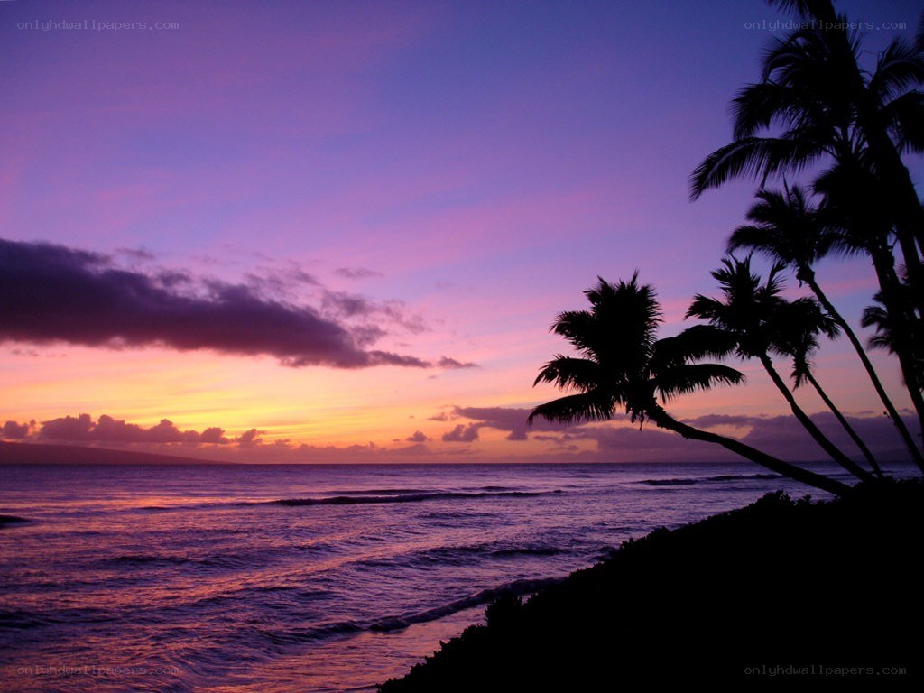 sunset over tropical beach
