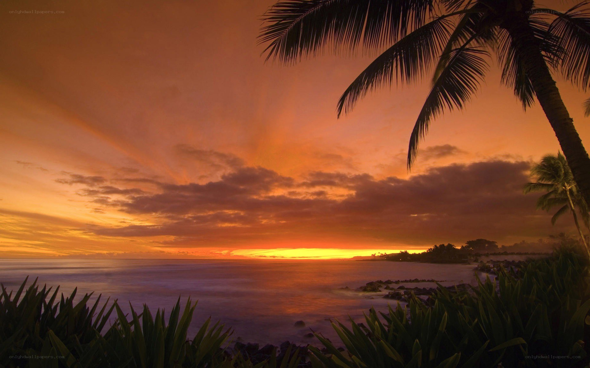sunset over tropical beach