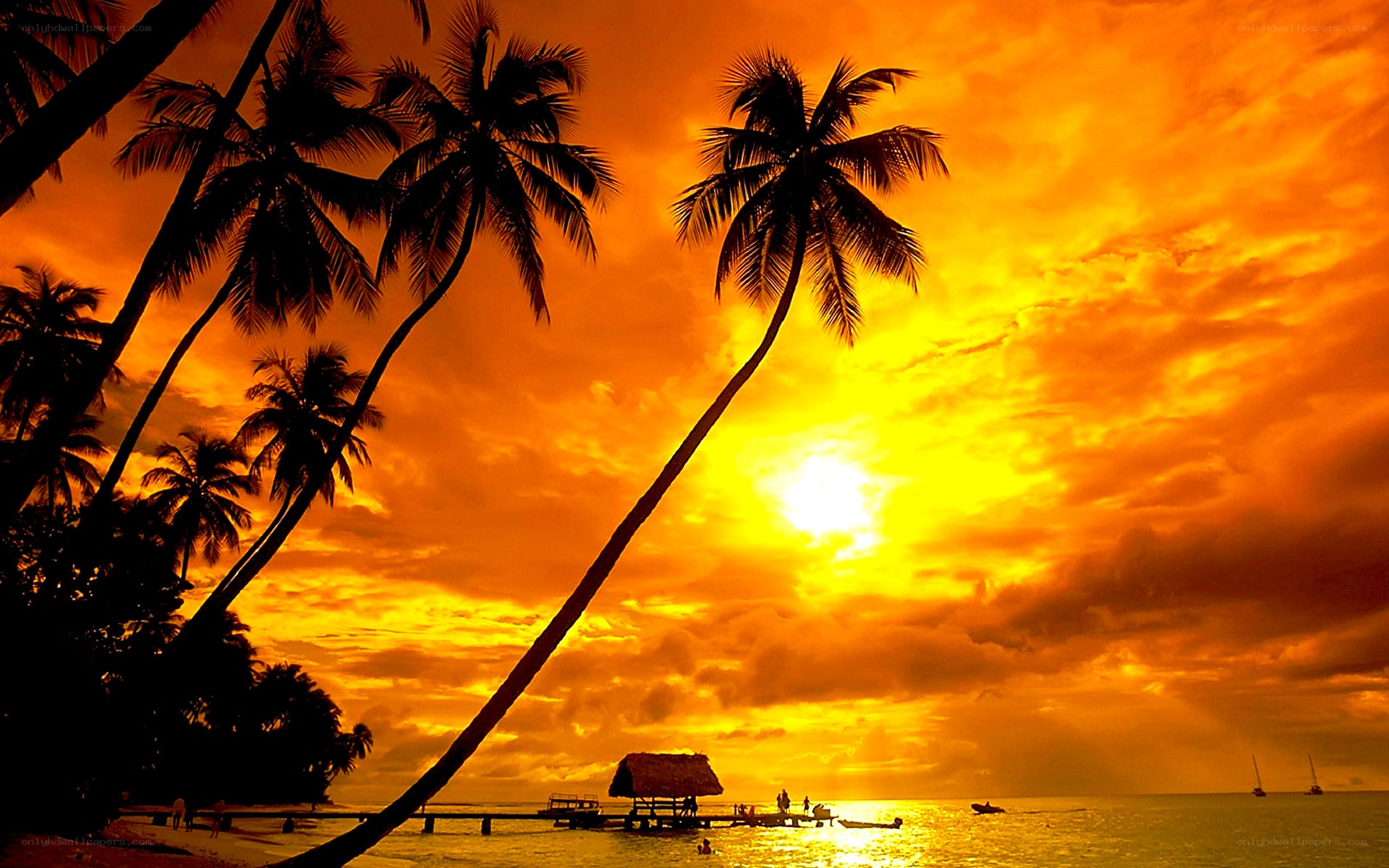sunset over tropical beach