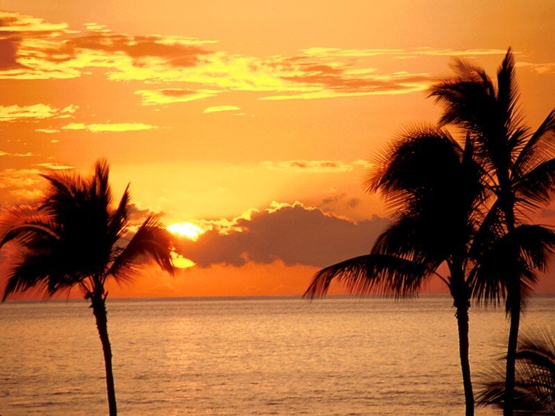sunset over tropical beach
