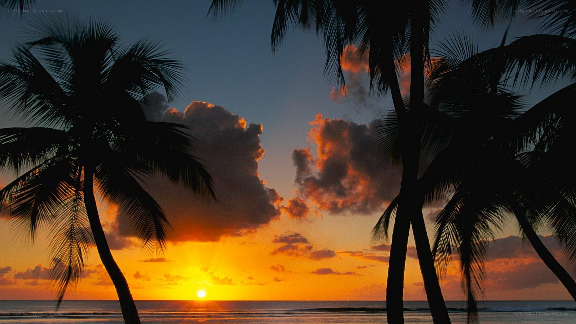 sunset over tropical beach