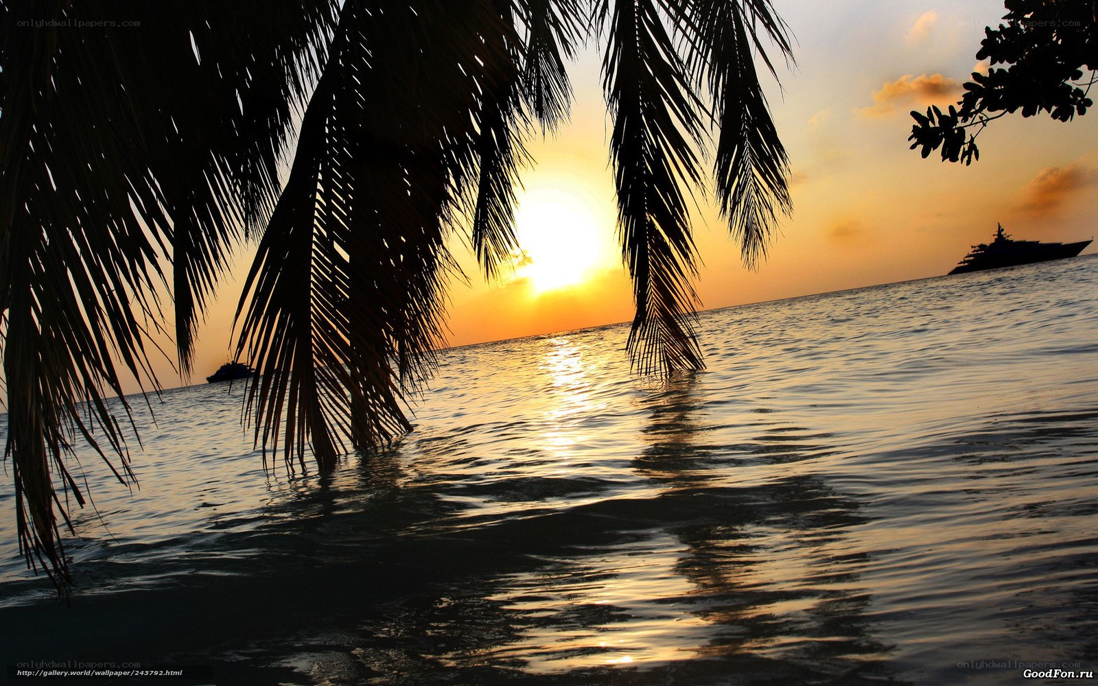 Sunset over tropical beach