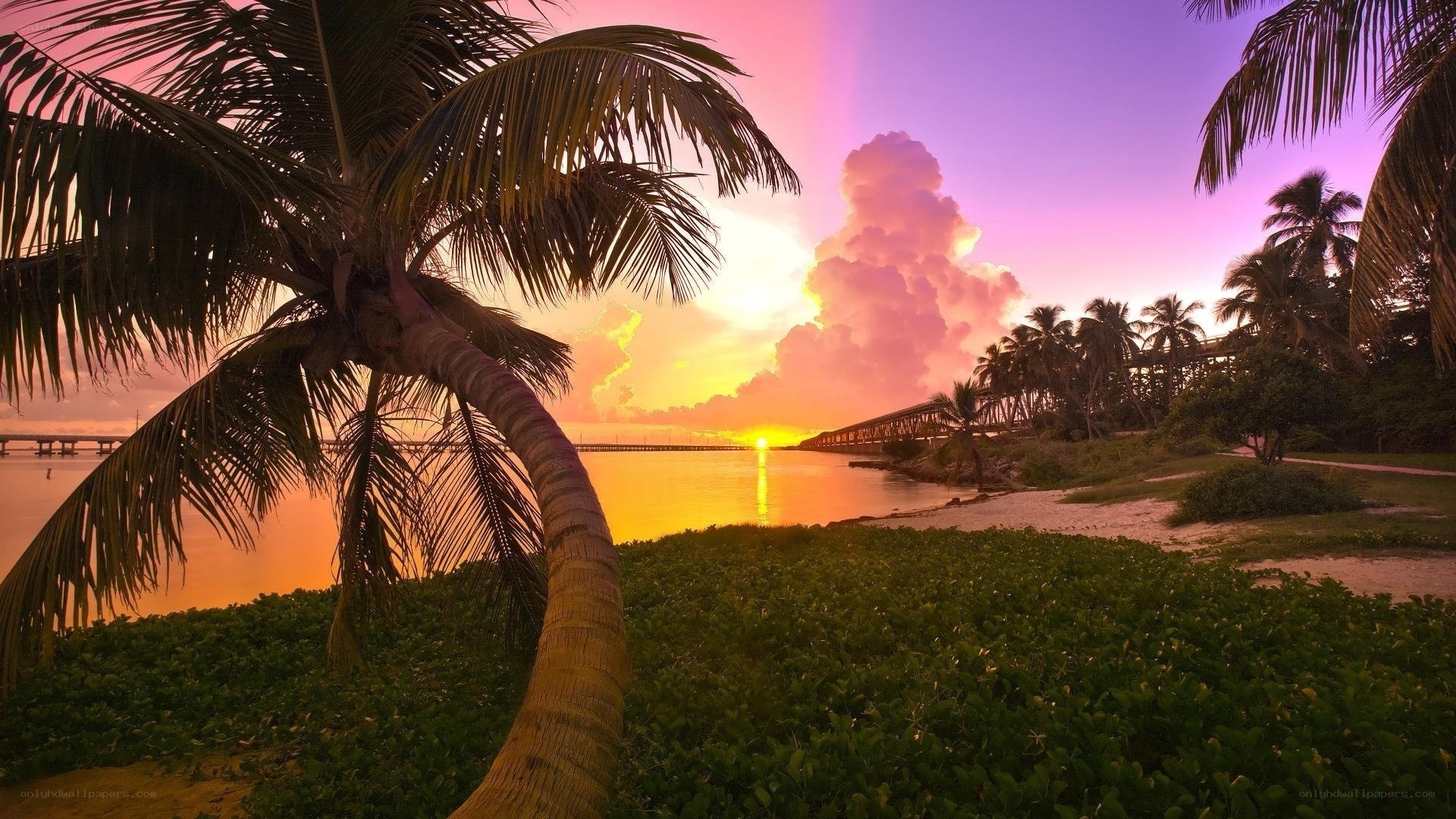Sunset over tropical beach