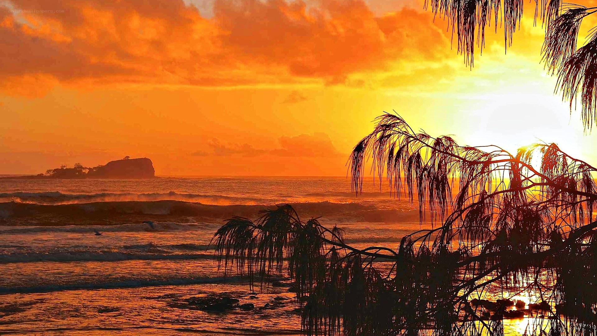 sunset over tropical beach