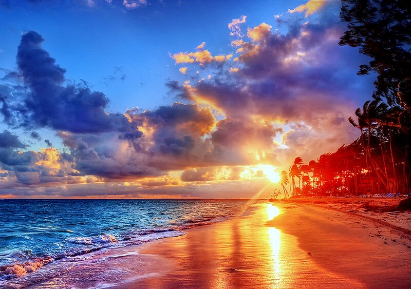 Sunset over Tropical Beach — Blue, Dramatic, Photograph, Ocean, Palm Trees