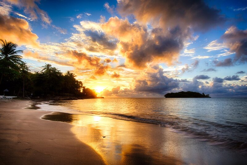 Sunset over Tropical Beach — Blue, Dramatic, Photograph, Palm Trees