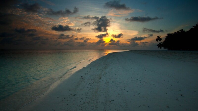 Sunset over Tropical Beach — Blue, Serene, Photograph, Ocean, Sand, Palm Trees, Orange