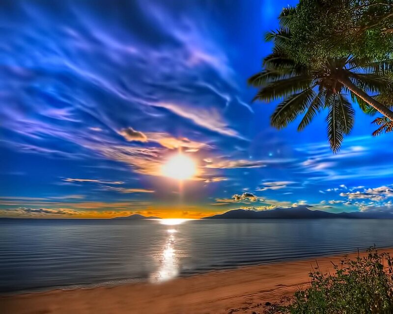 Sunset over Tropical Beach — Blue, Serene, Photograph, Palm Tree