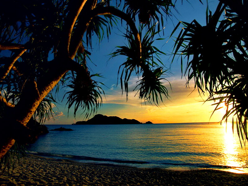 Sunset over Tropical Beach — Blue, Serene, Photograph, Palm Trees