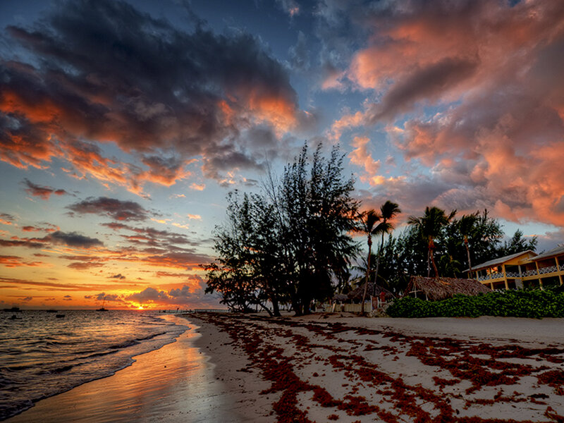 Sunset over Tropical Beach — Orange, Dramatic, Photograph, Ocean