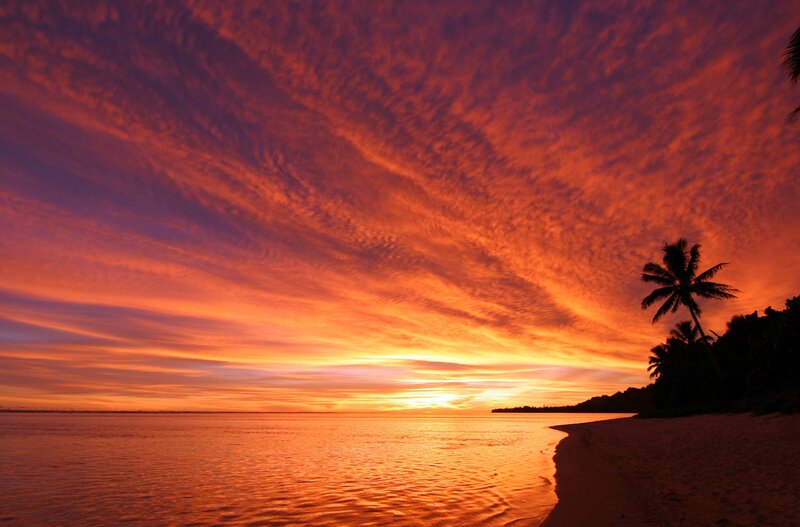 Sunset over Tropical Beach — Orange, Dramatic, Photograph, Palm Tree, Ocean, Sky