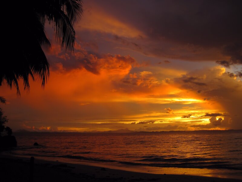 Sunset over Tropical Beach — Orange, Dramatic, Photograph, Palm Tree, Ocean