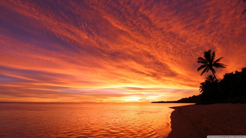 Sunset over Tropical Beach — Orange, Dramatic, Photograph, Palm Tree