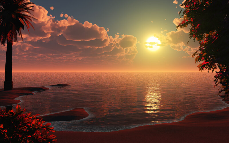 Sunset over Tropical Beach — Orange, Serene, 3d Render, Palm Tree