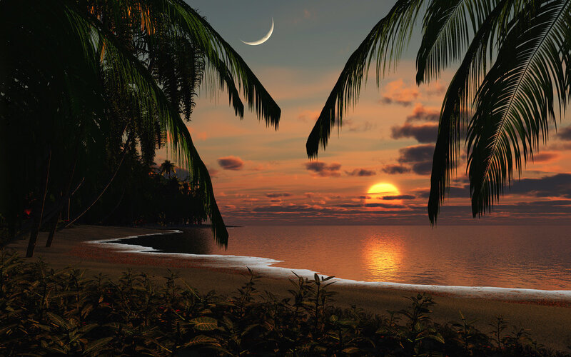 Sunset over Tropical Beach — Orange, Serene, Digital Art, Palm Trees, Moon