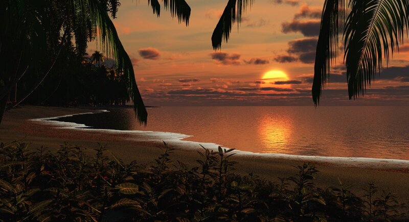 Sunset over Tropical Beach — Orange, Serene, Digital Art, Palm Trees