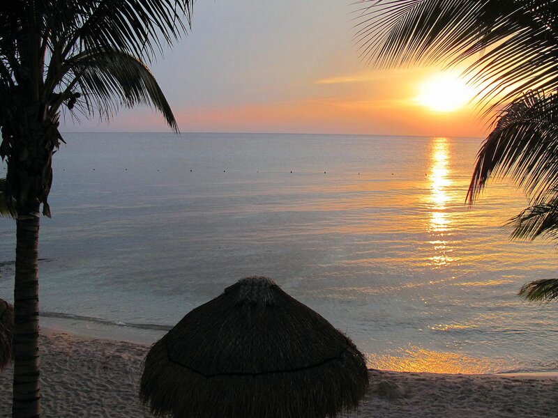 Sunset over Tropical Beach — Orange, Serene, Photograph, Palm Tree